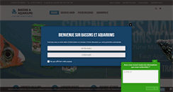Desktop Screenshot of bassinsetaquariums.com